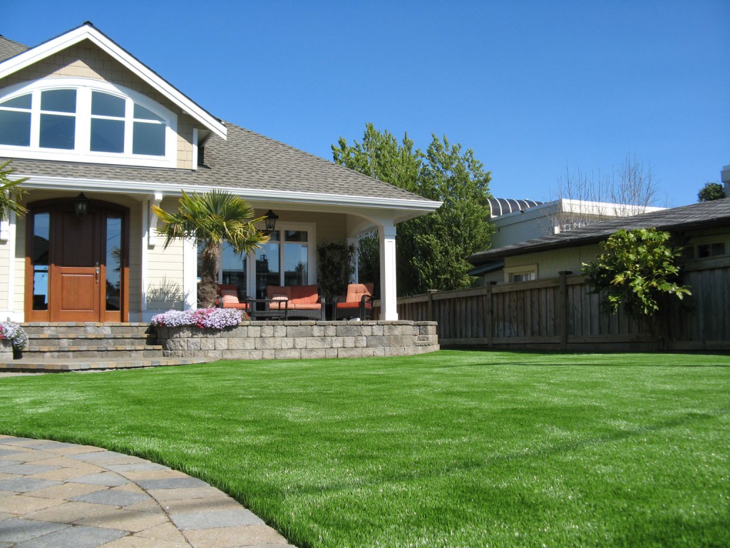 Never Fix Your Lawn Again