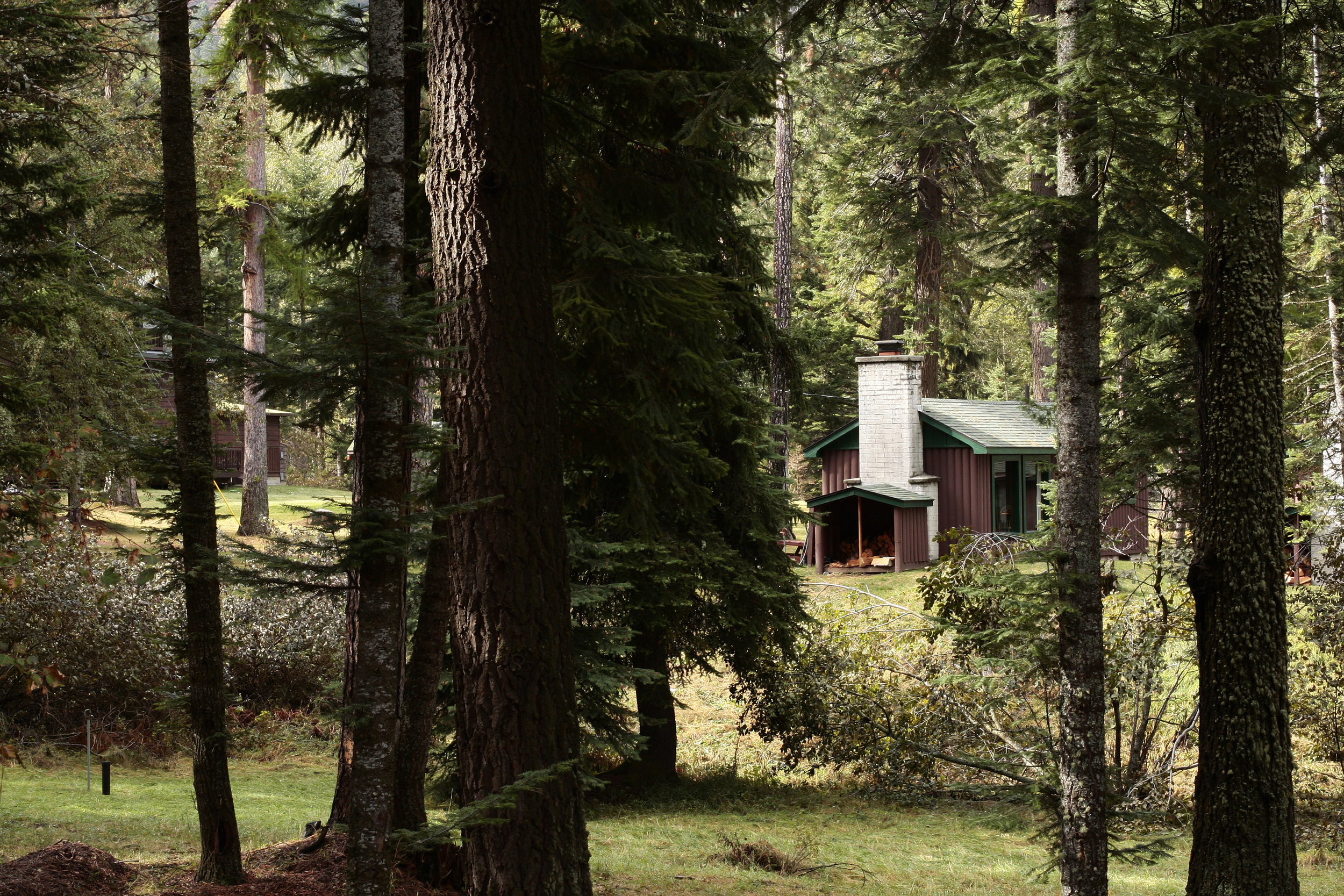 10 Cabins and Meadow.jpg
