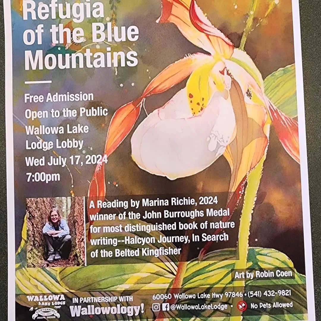 Refugia of the Blue Mountains