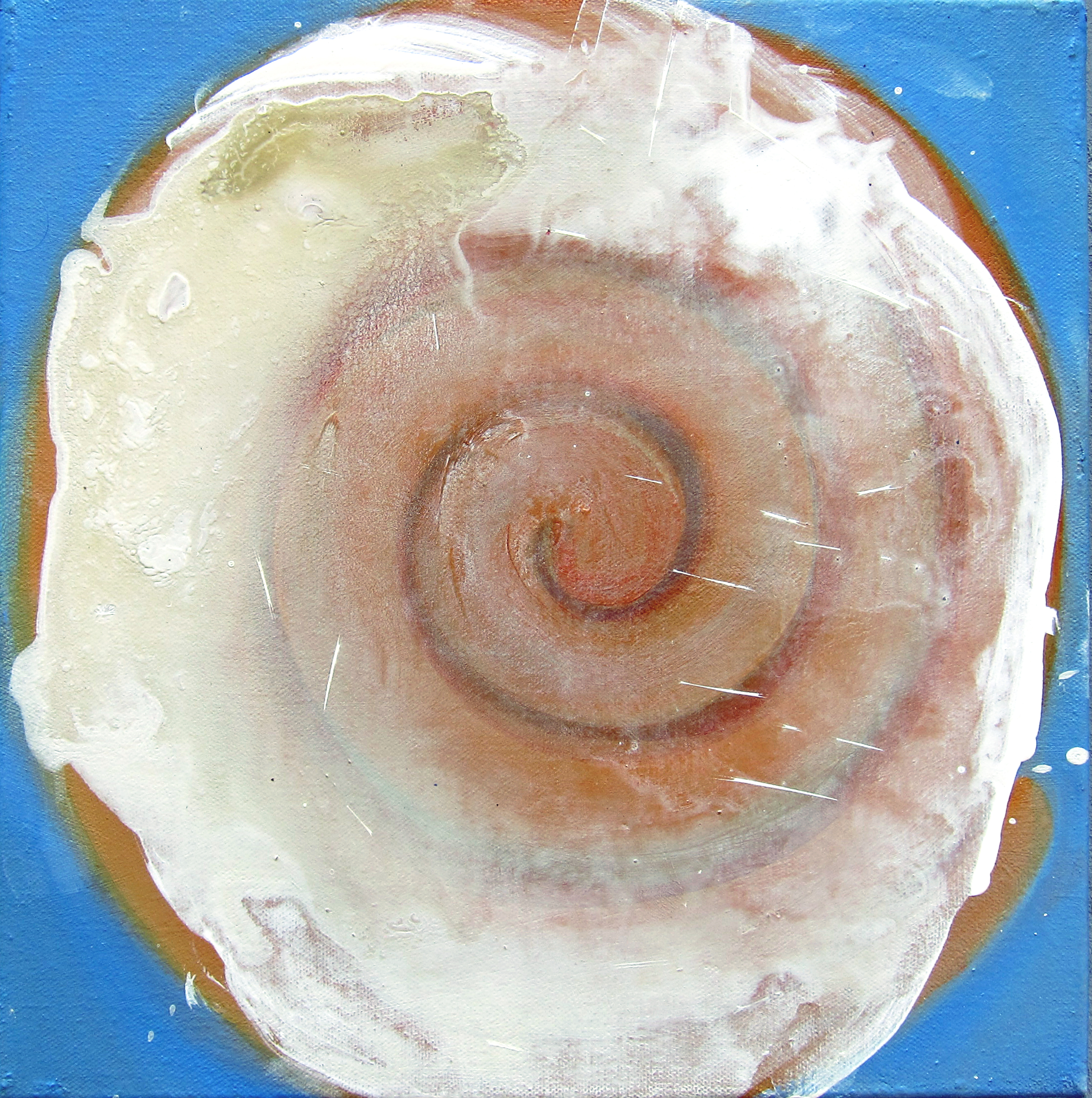 Cinnamon Roll, 12 x 12 inches