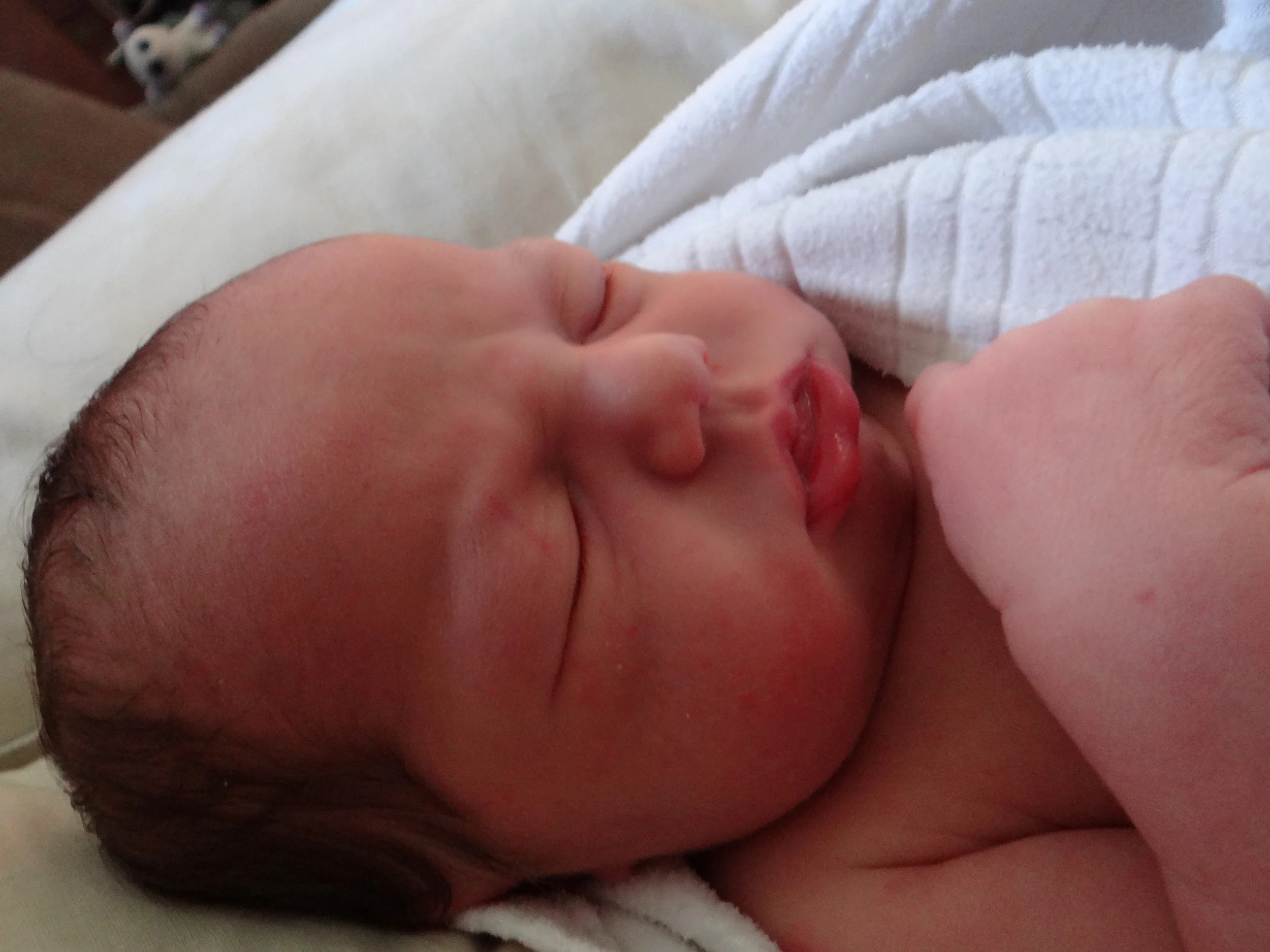 Corbin Gallifrey 02/27/2015