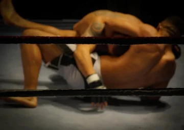 MMA-fighting-free-license-CC01.jpg