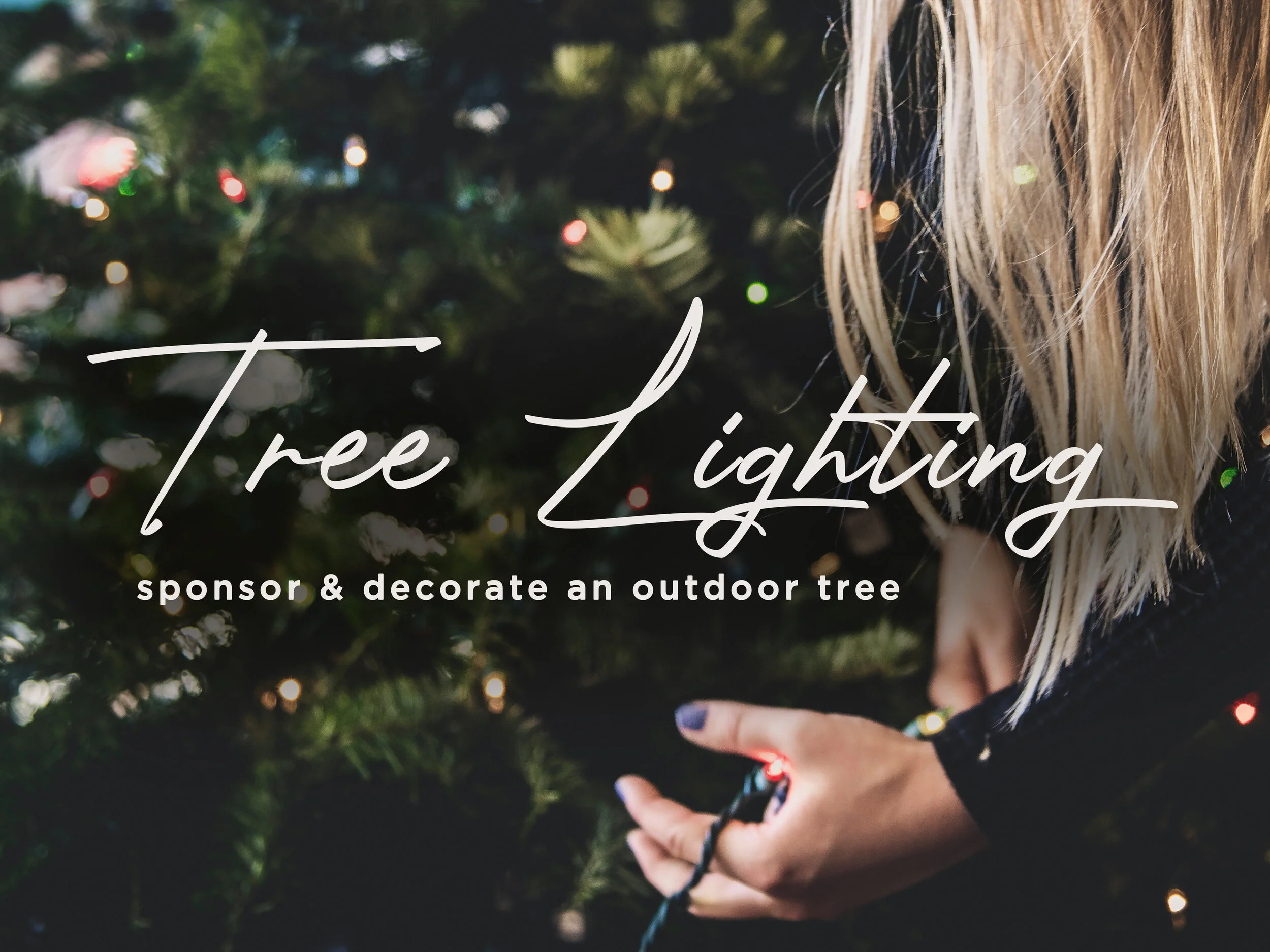 Tree Lighting