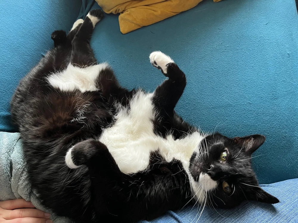Minnie.JPG