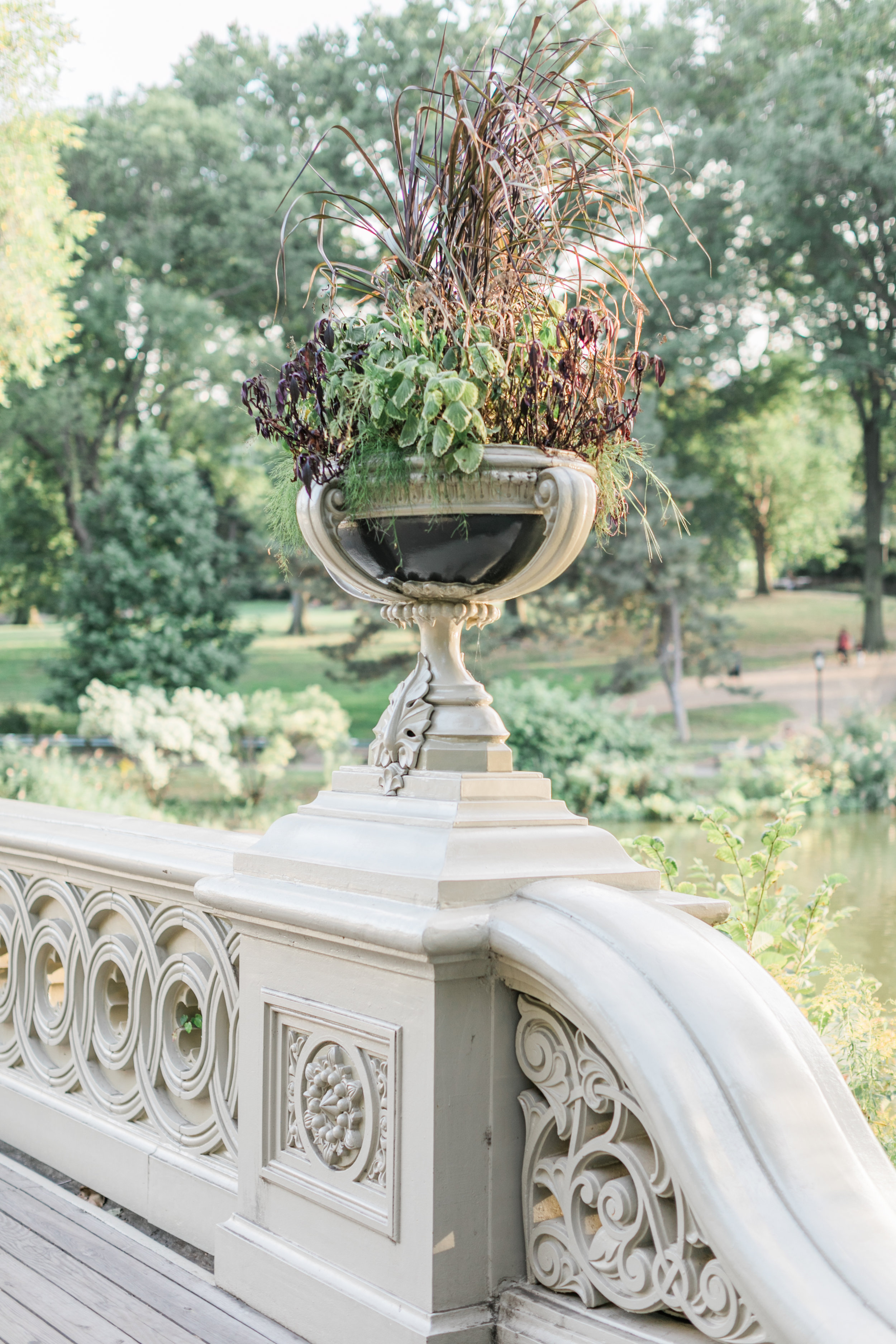 central-park-engagement-photographer5.jpg