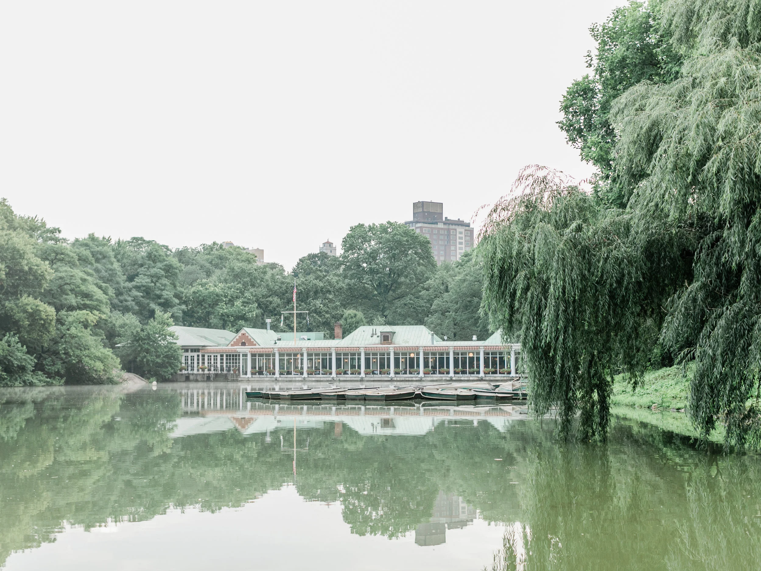 Asher-Gardner-central-park-engagement-00002.jpg