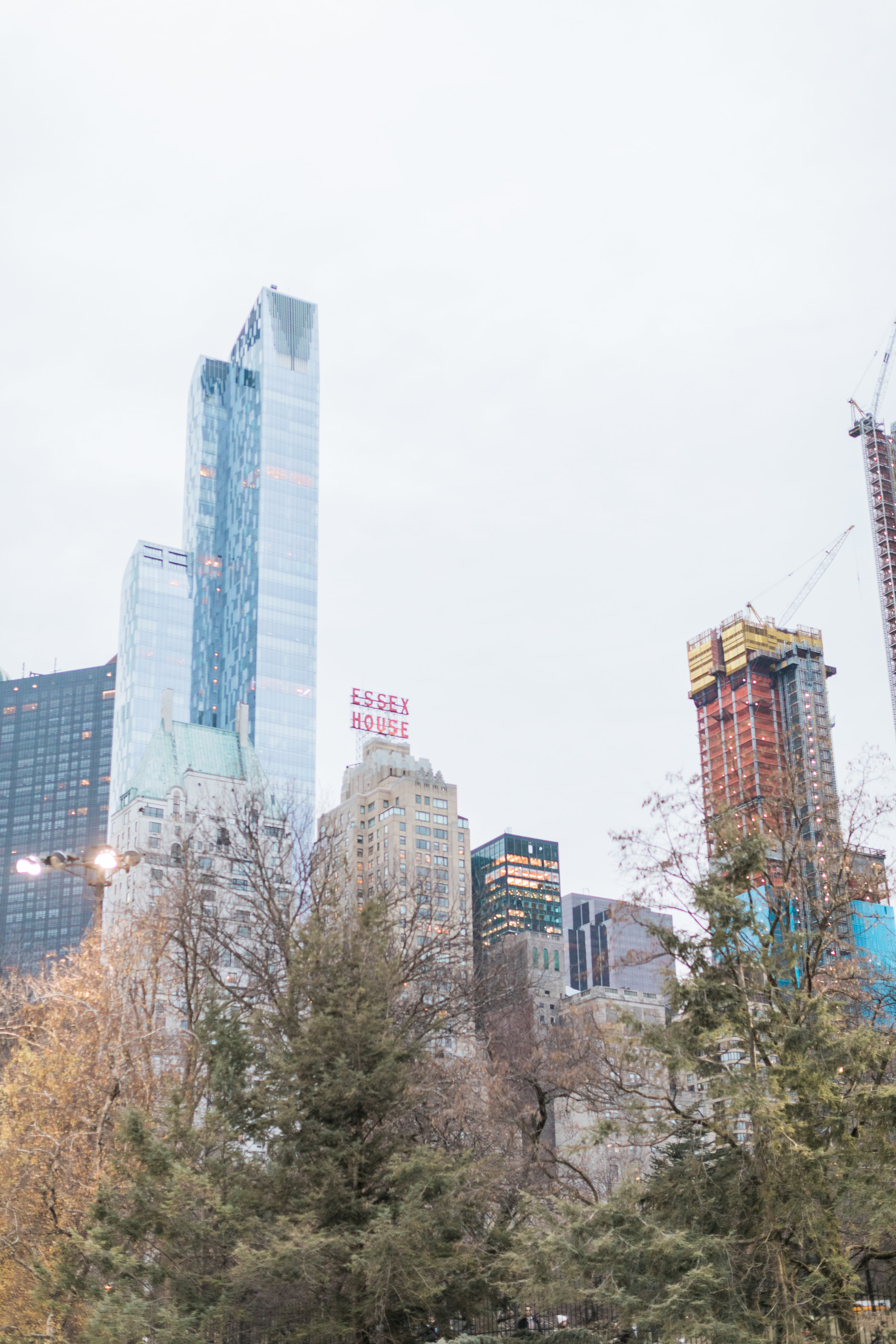 Winter-Central-Park-Engagement23.jpg