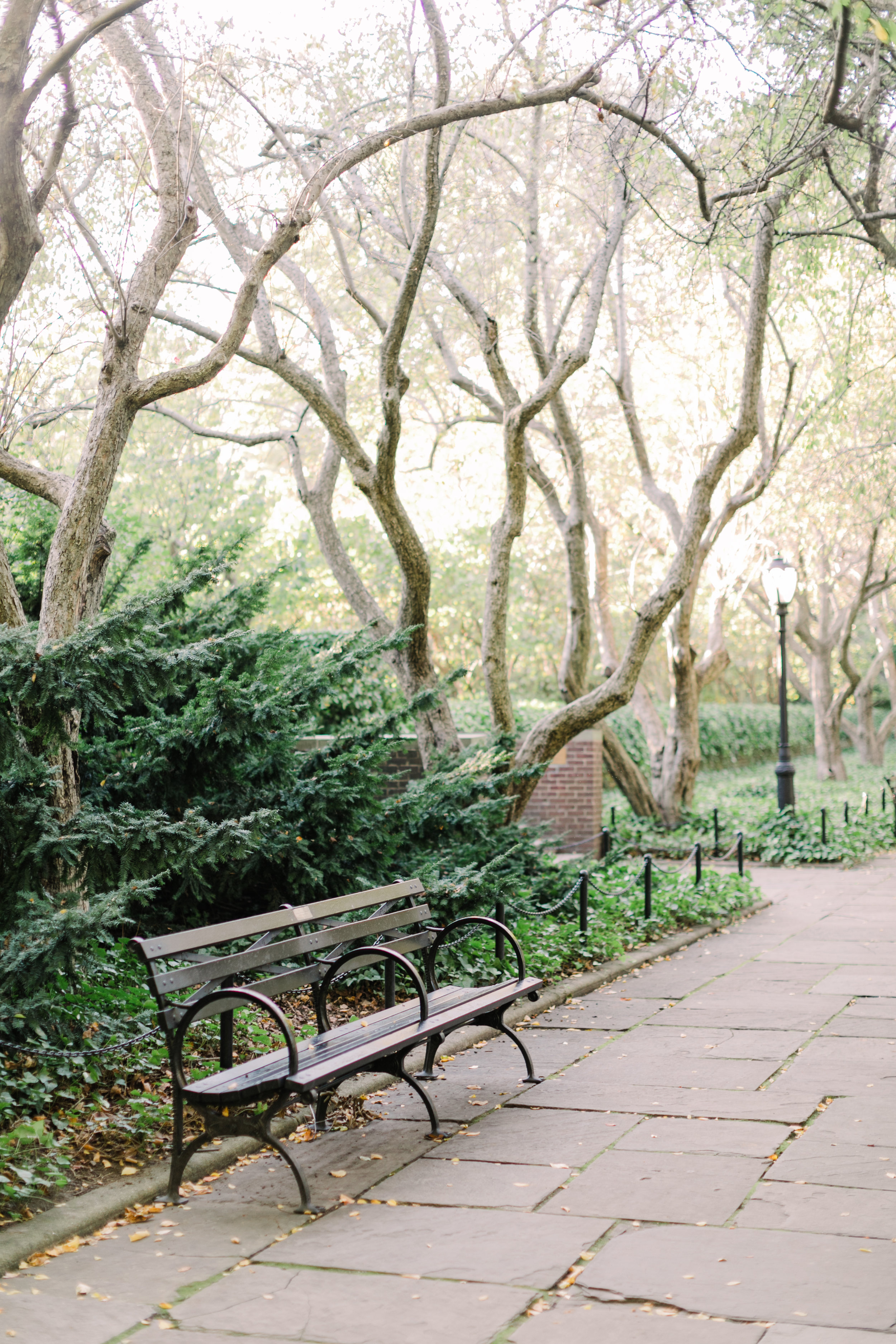 central-park-engagement-photographer2.jpg