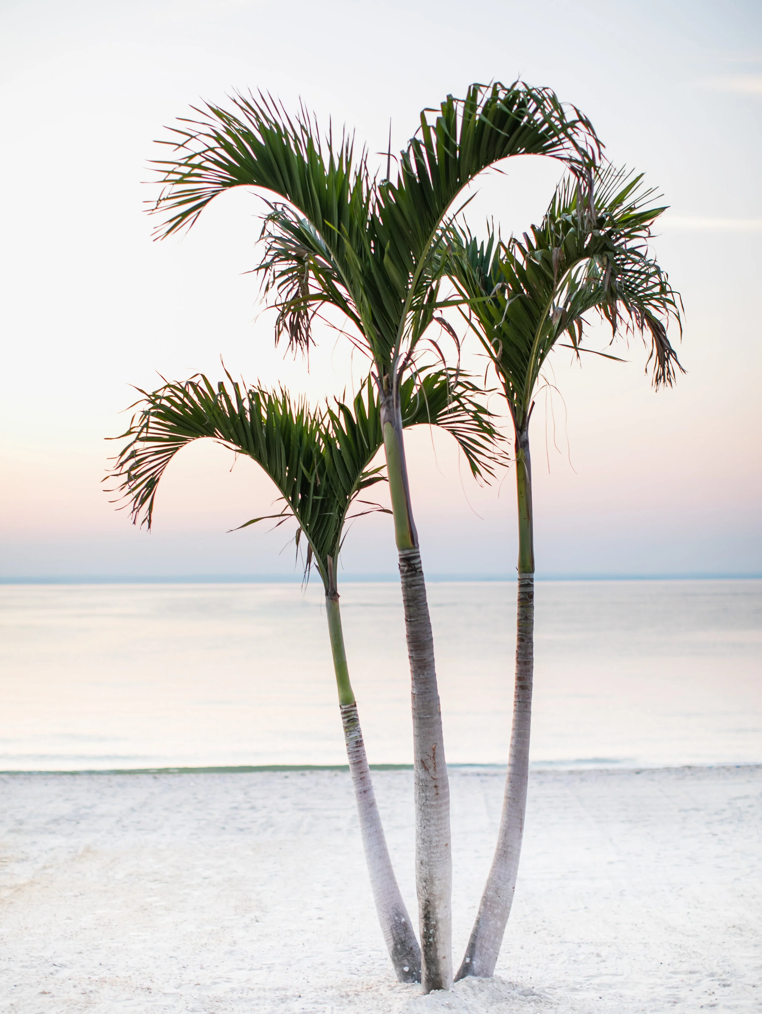 asher-gardner-cresent-beach-club-00866.jpg