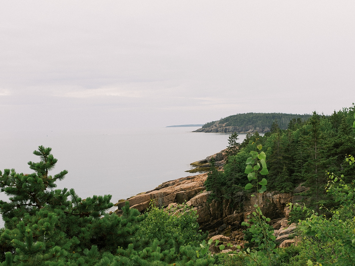 Bar Harbor Maine_0006.jpg