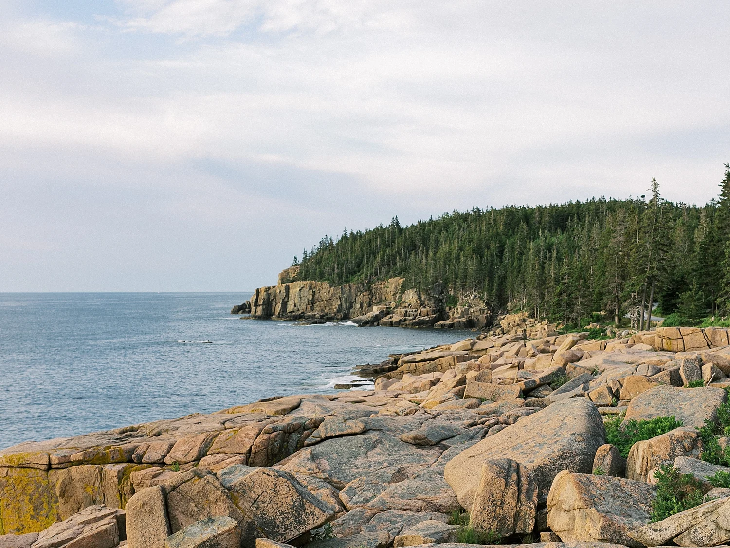 Bar Harbor Maine_0024.jpg