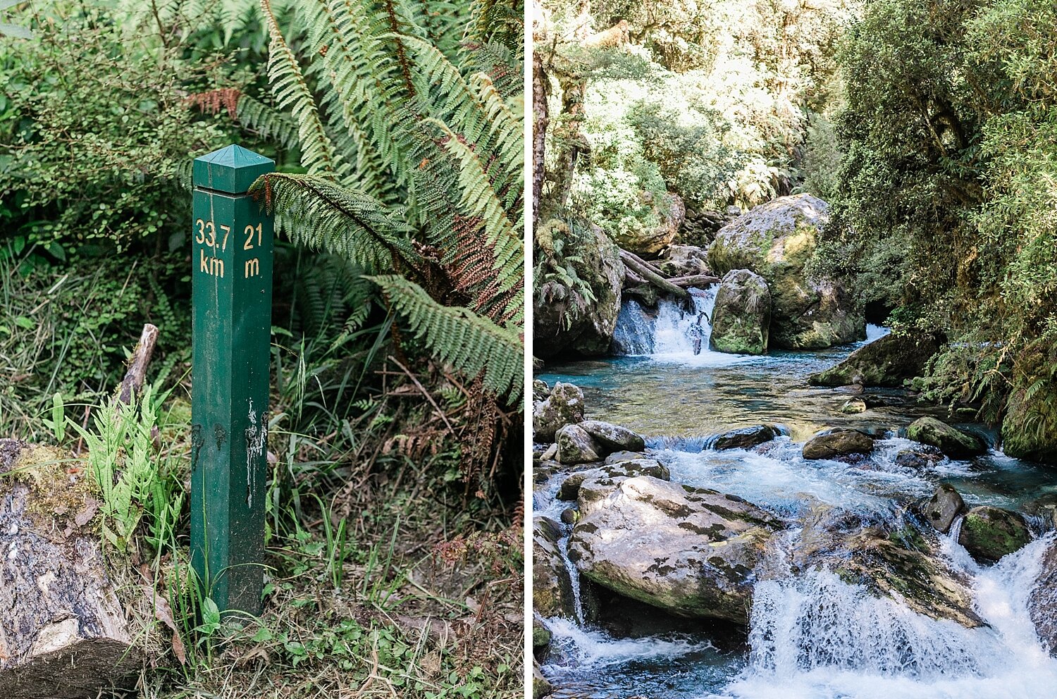 Milford Track walking trail in New Zealand photographed by travel photographer Asher Gardner Photography