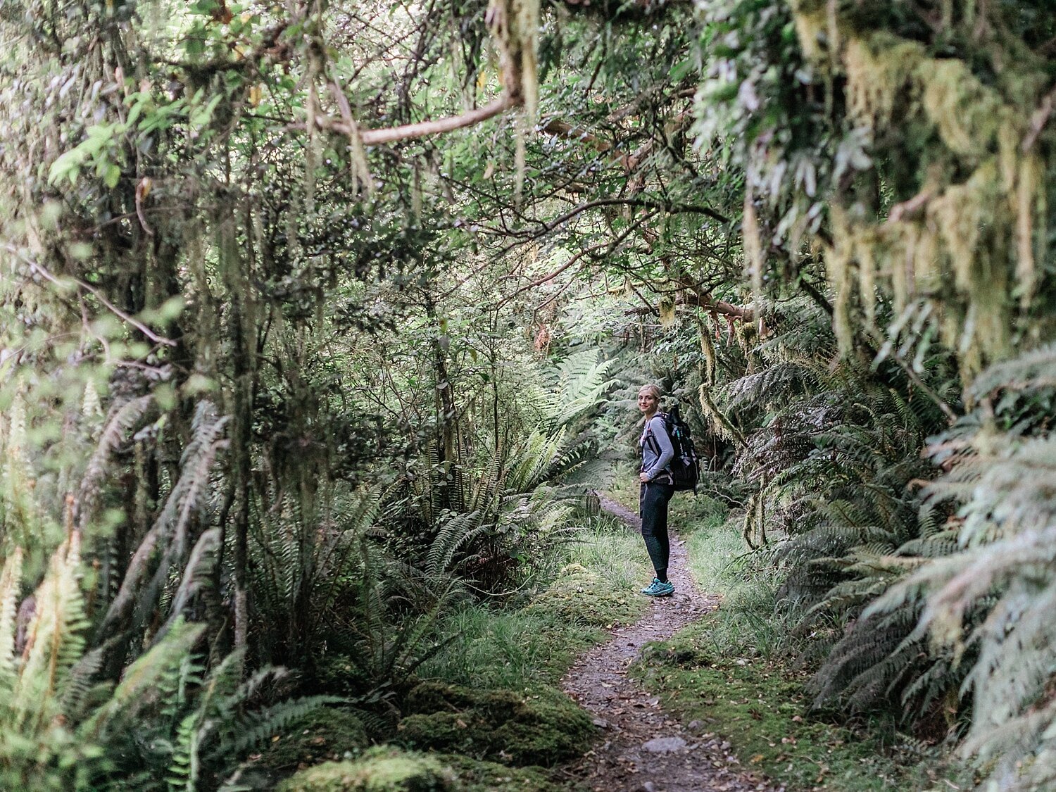 Milford Track walking trail in New Zealand photographed by travel photographer Asher Gardner Photography