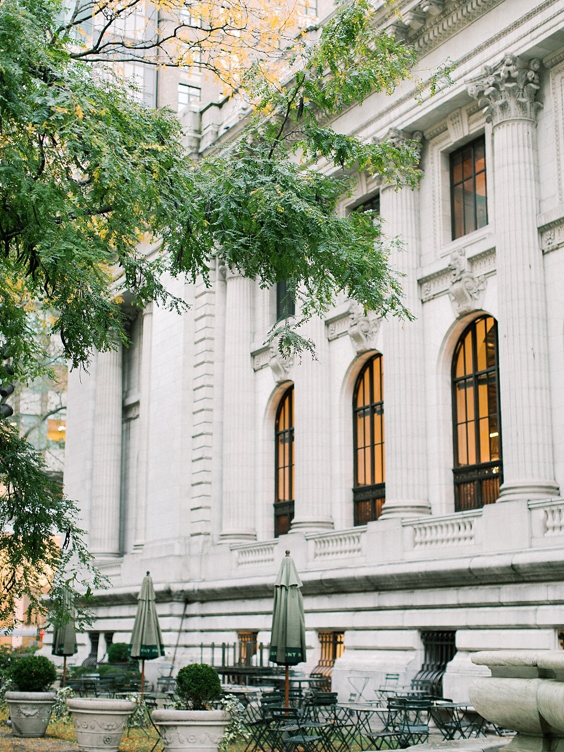 Public Library engagement session by Asher Gardner Photography