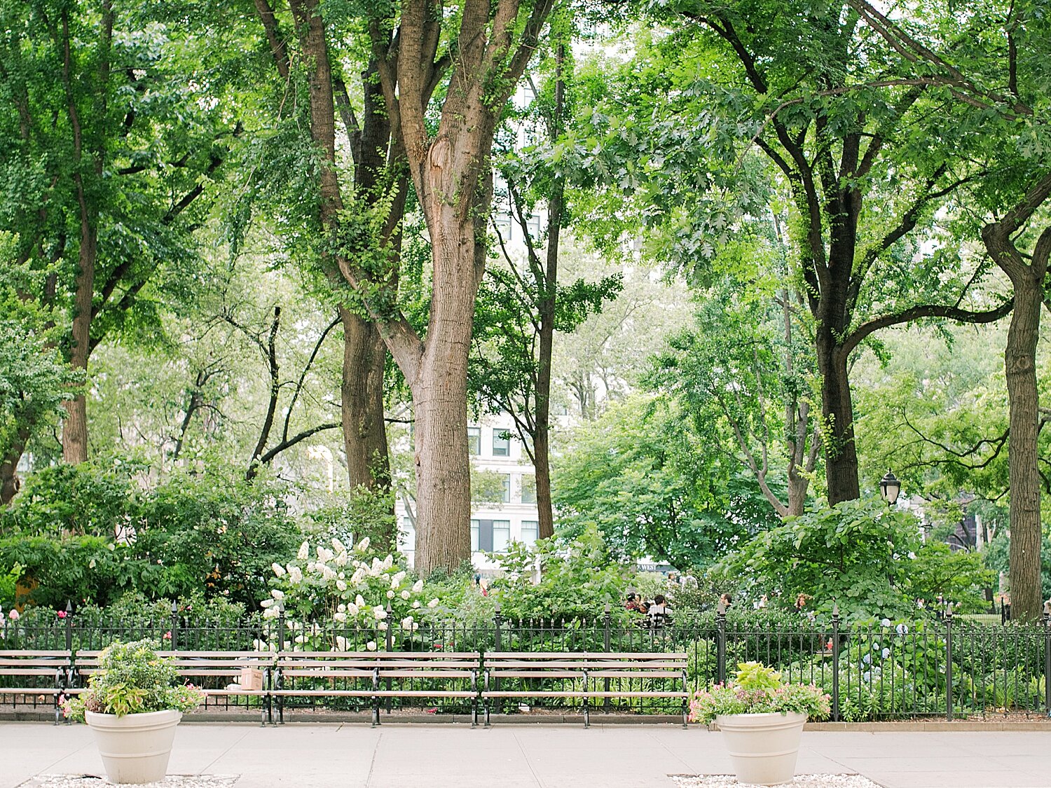 NYC park photographed by Asher Gardner Photography