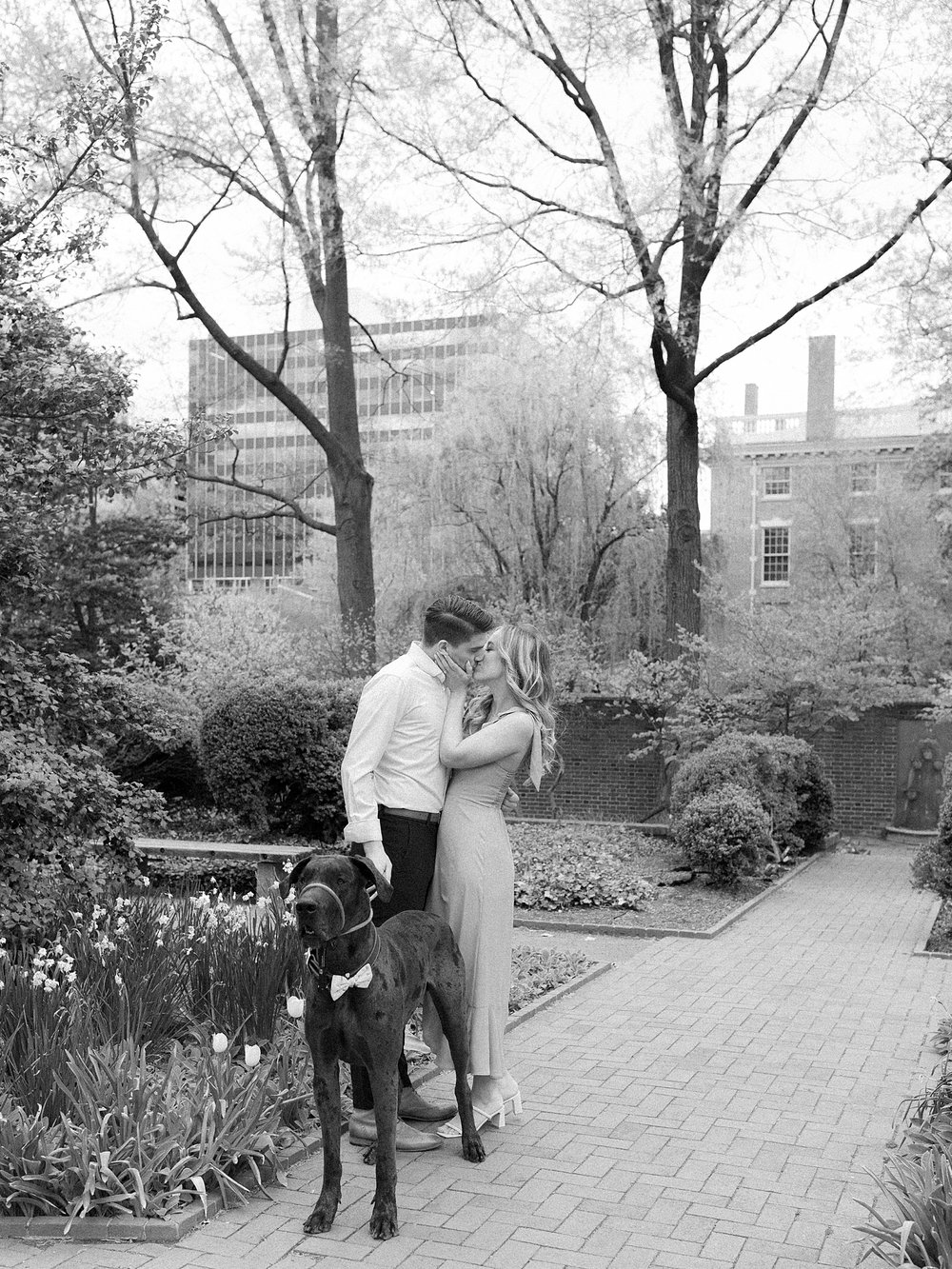 engaged couple hugs on walkway in Philadelphia garden with Great Dane