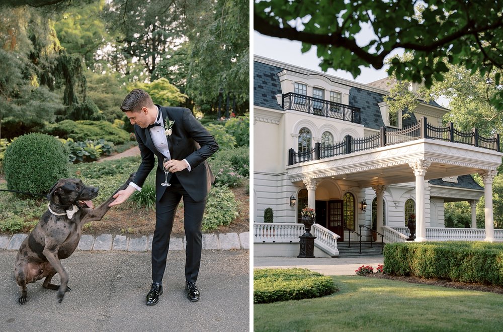groom gets paw from dog outside the Ashford Estate