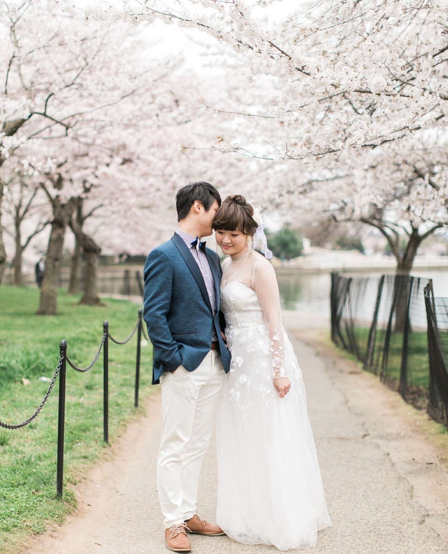 Cherry blossom season is here!  Happy Spring, friends!