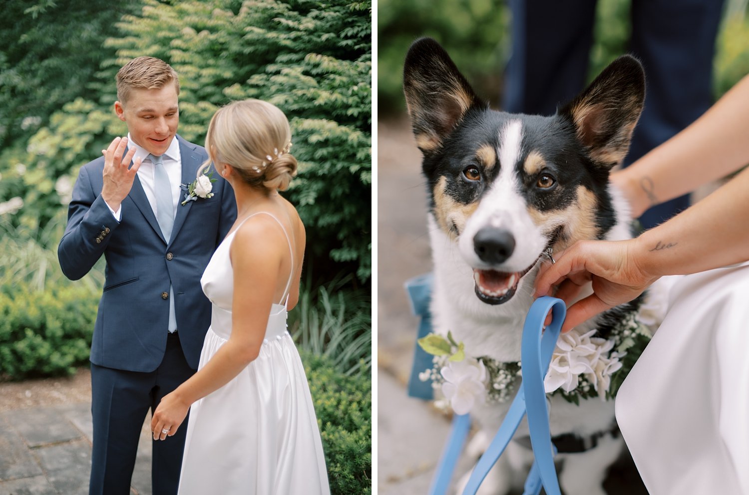 groom looks at bride with dog outside the Buttermilk Inn &amp; Spa