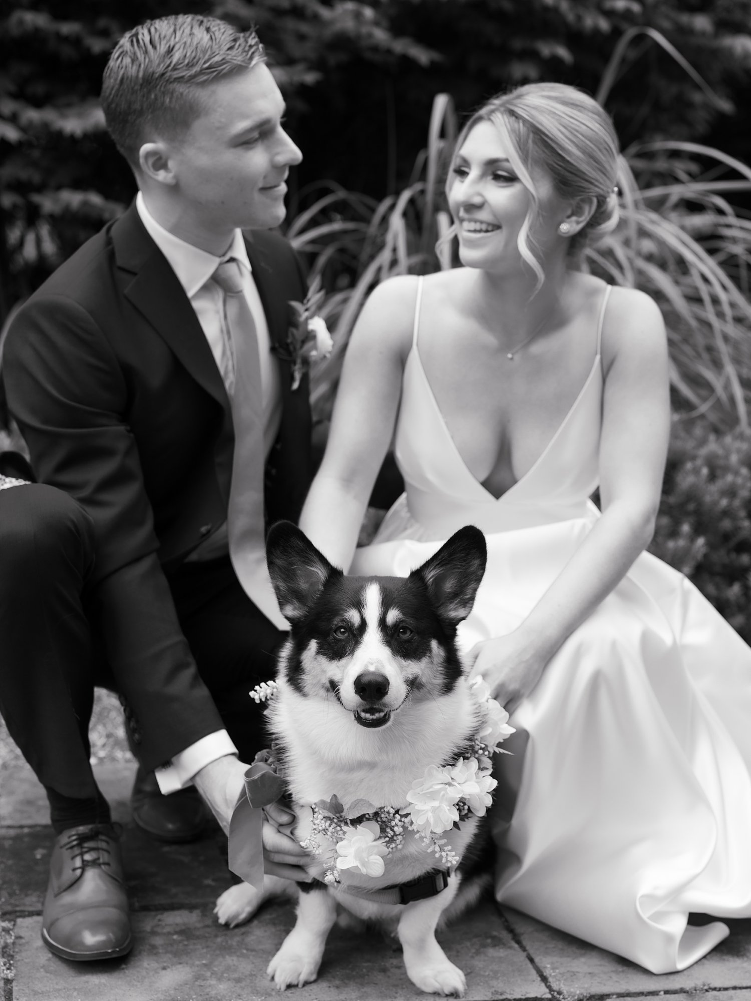 newlyweds kneel with dog during first look in Milton NY 