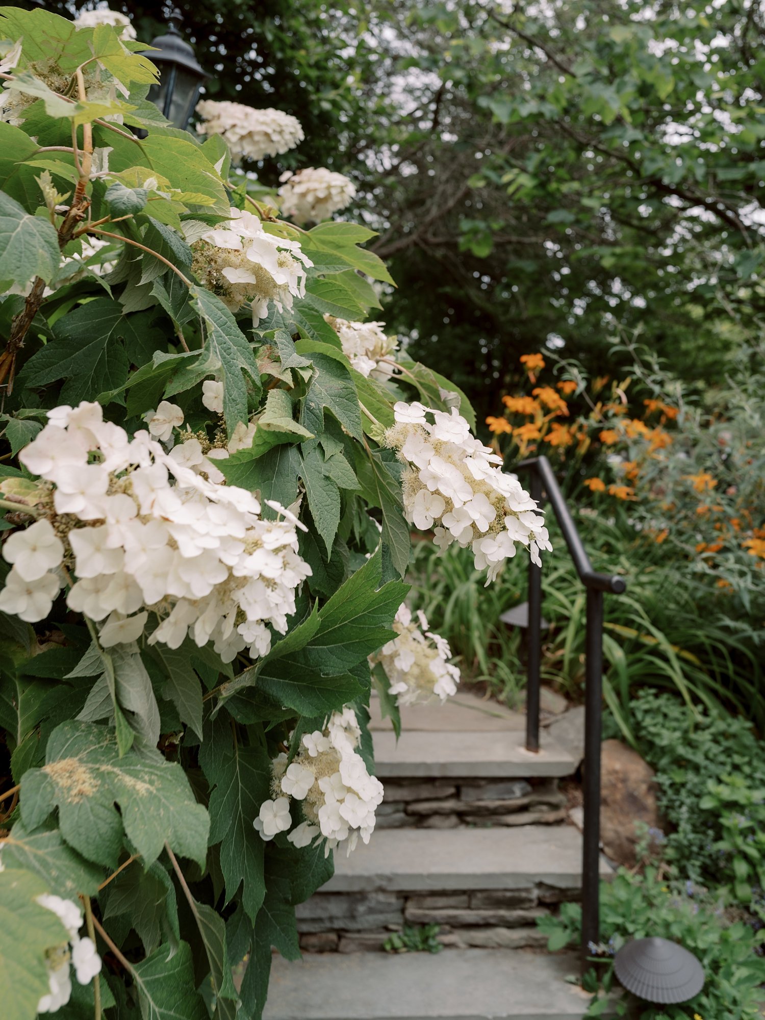 white flowers in garden at the Buttermilk Inn &amp; Spa