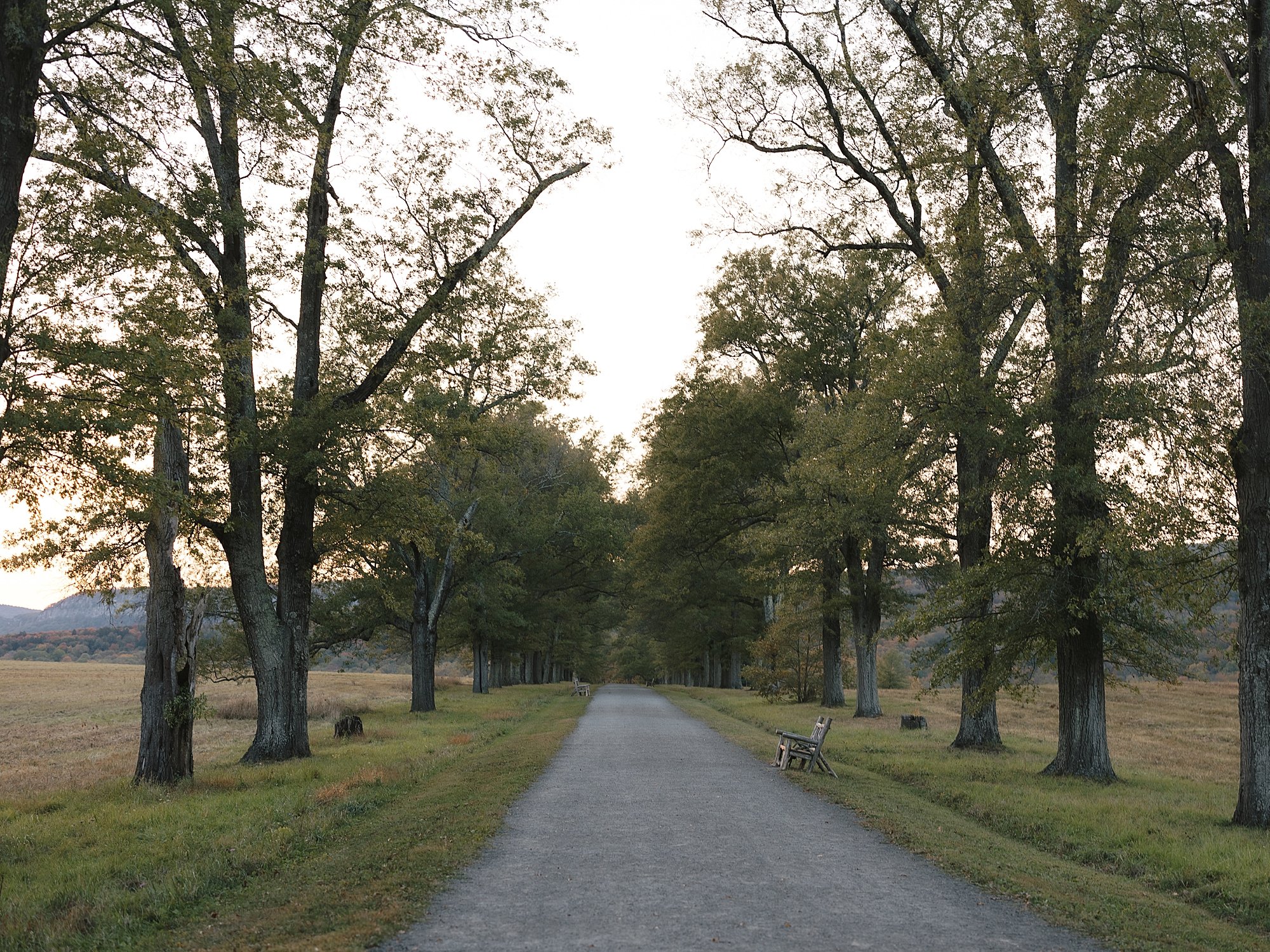 view of driveway inside Testimonial Gateway Park
