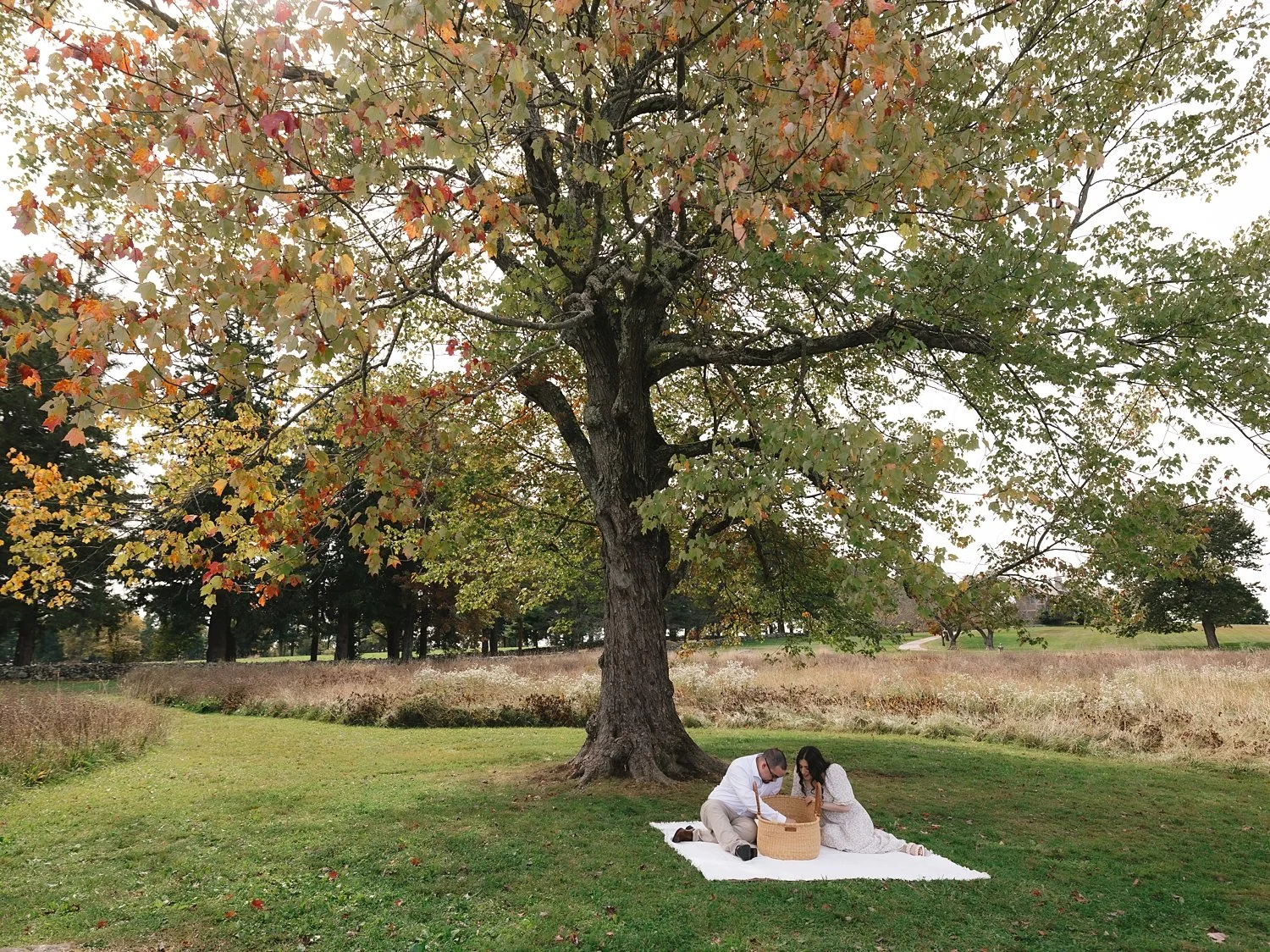 couple snuggles on blanket with newborn daughter under oak tree at Topsmead State Forest