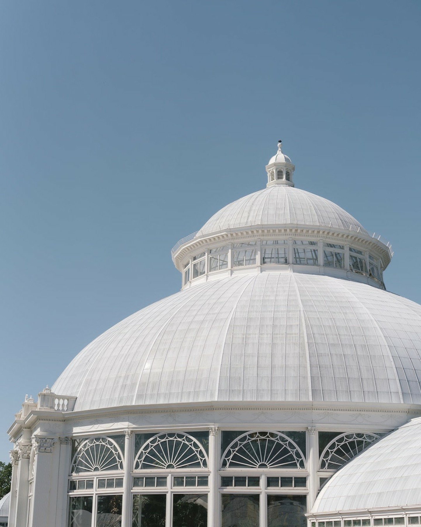 Celebrating love surrounded by the beauty of the New York Botanical Garden ✨

Vendors: Venue @nybg New York Botanic Garden
Cordinator @batonnyc
Florist @Foreverinbloommtkisco
Makeup artist @gabrielartistry
Hairstylist @mervetbridals
Orchestra @faze_4