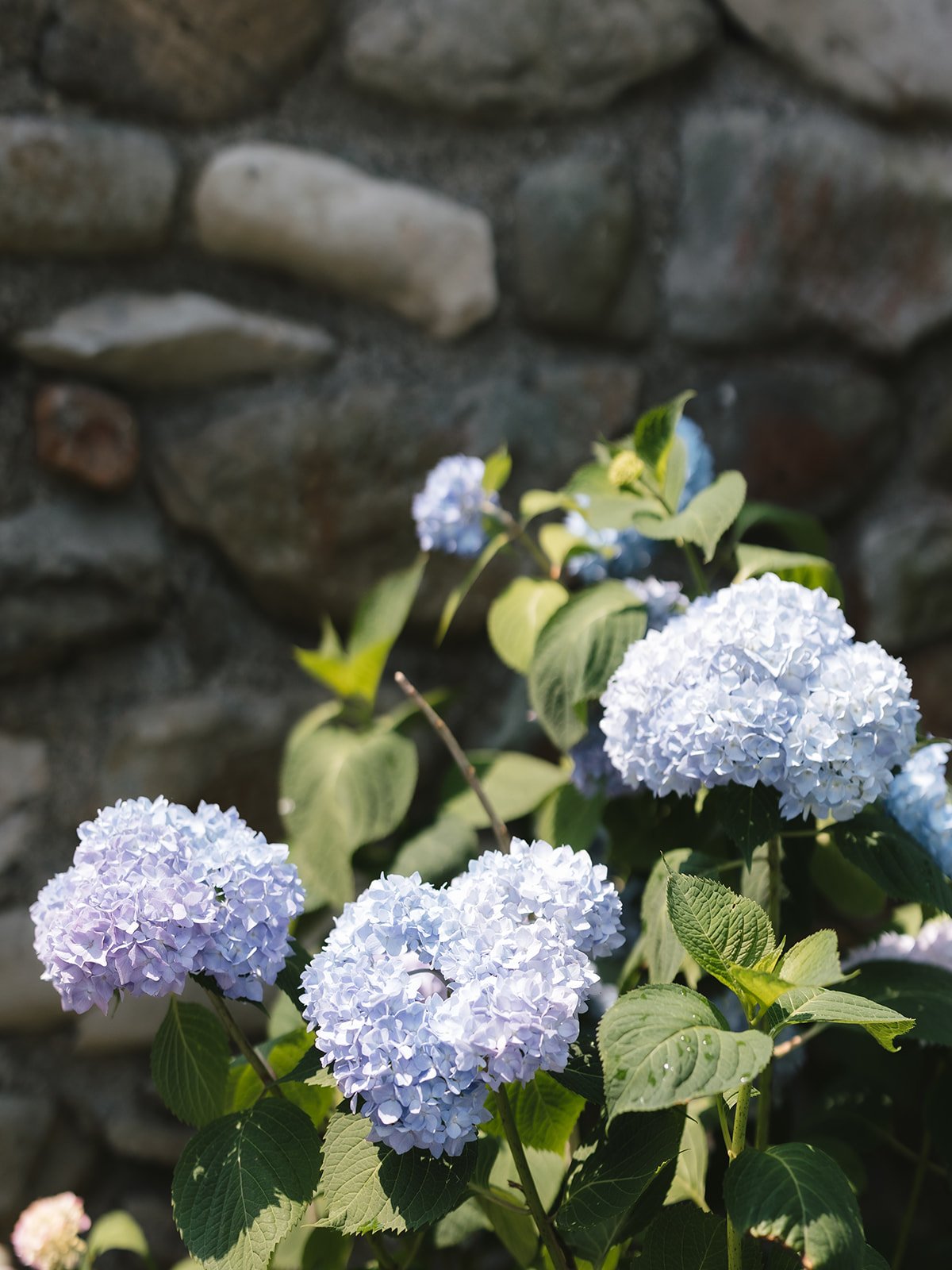 Pioneer-Farms-Wedding-AsherGardner-2_websize.jpg