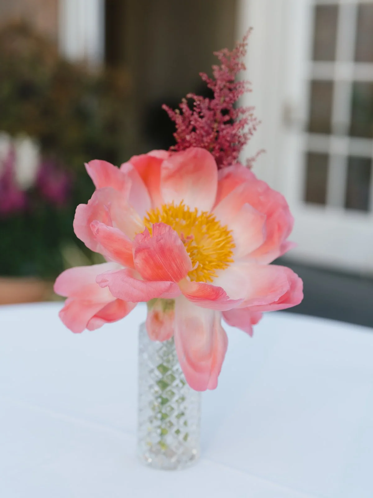 New-York-Botanical-Garden-Wedding-AsherGardner-1032_websize.jpg