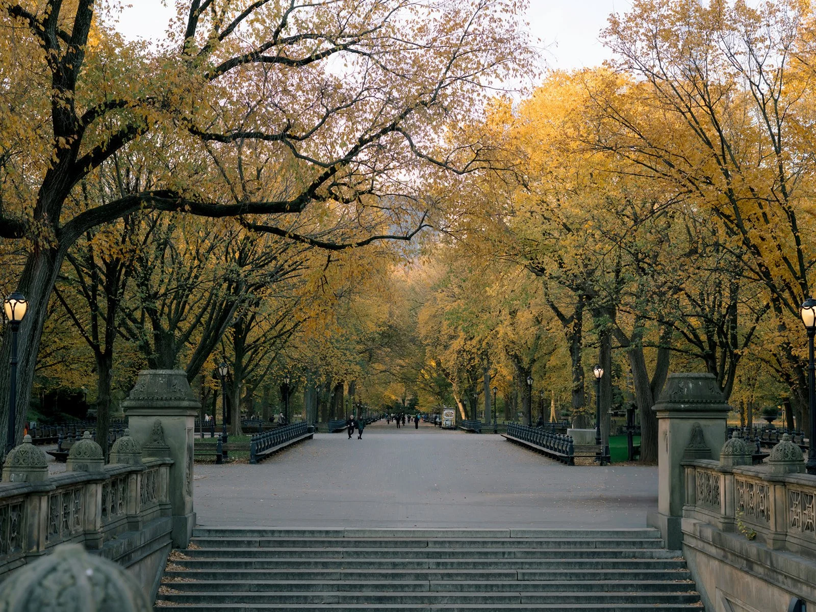Planning Your Fall Engagement Session in NYC