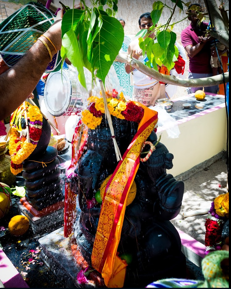 peepal_tree_ganesha.png