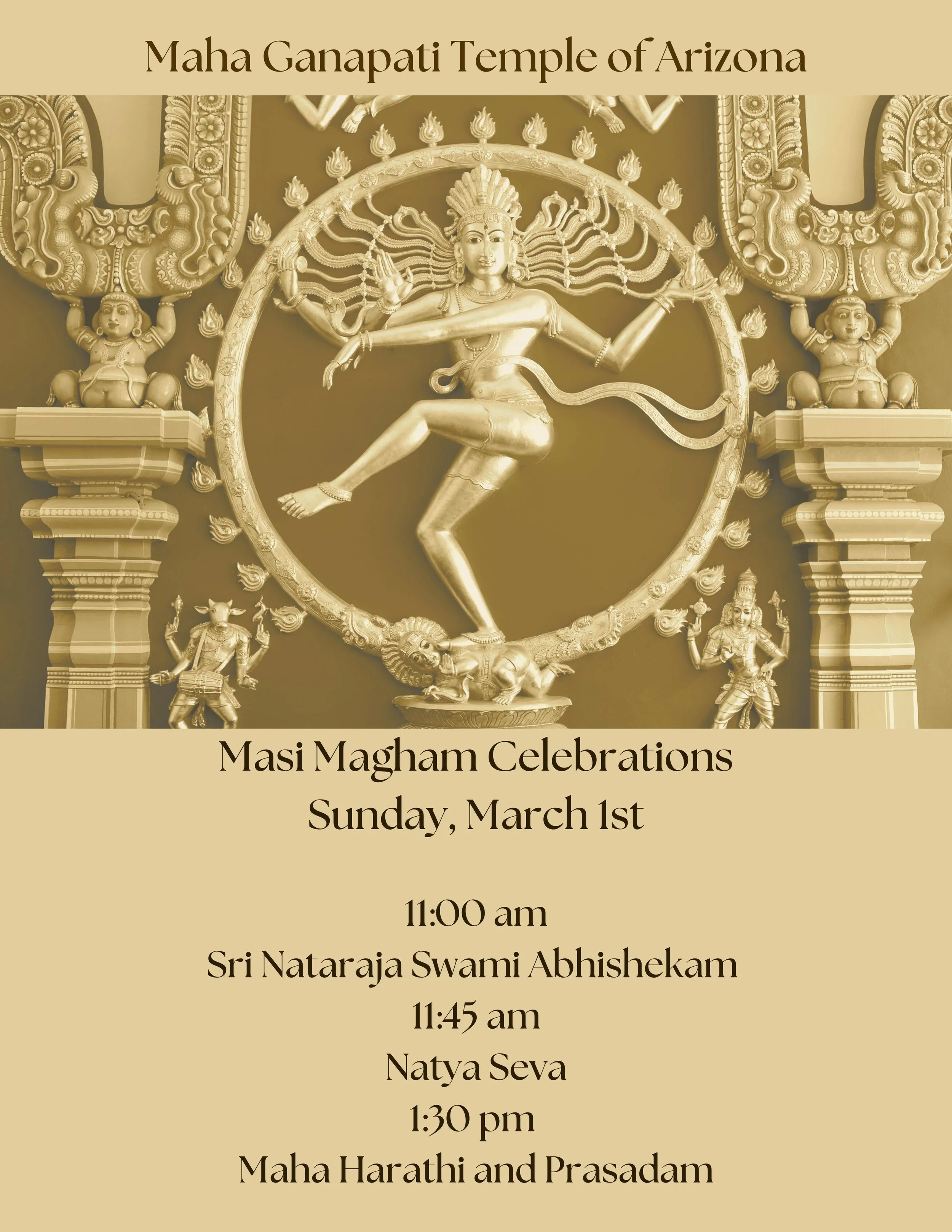 WhatsApp Image 2026-02-17 at 2.11.17 PM.jpeg