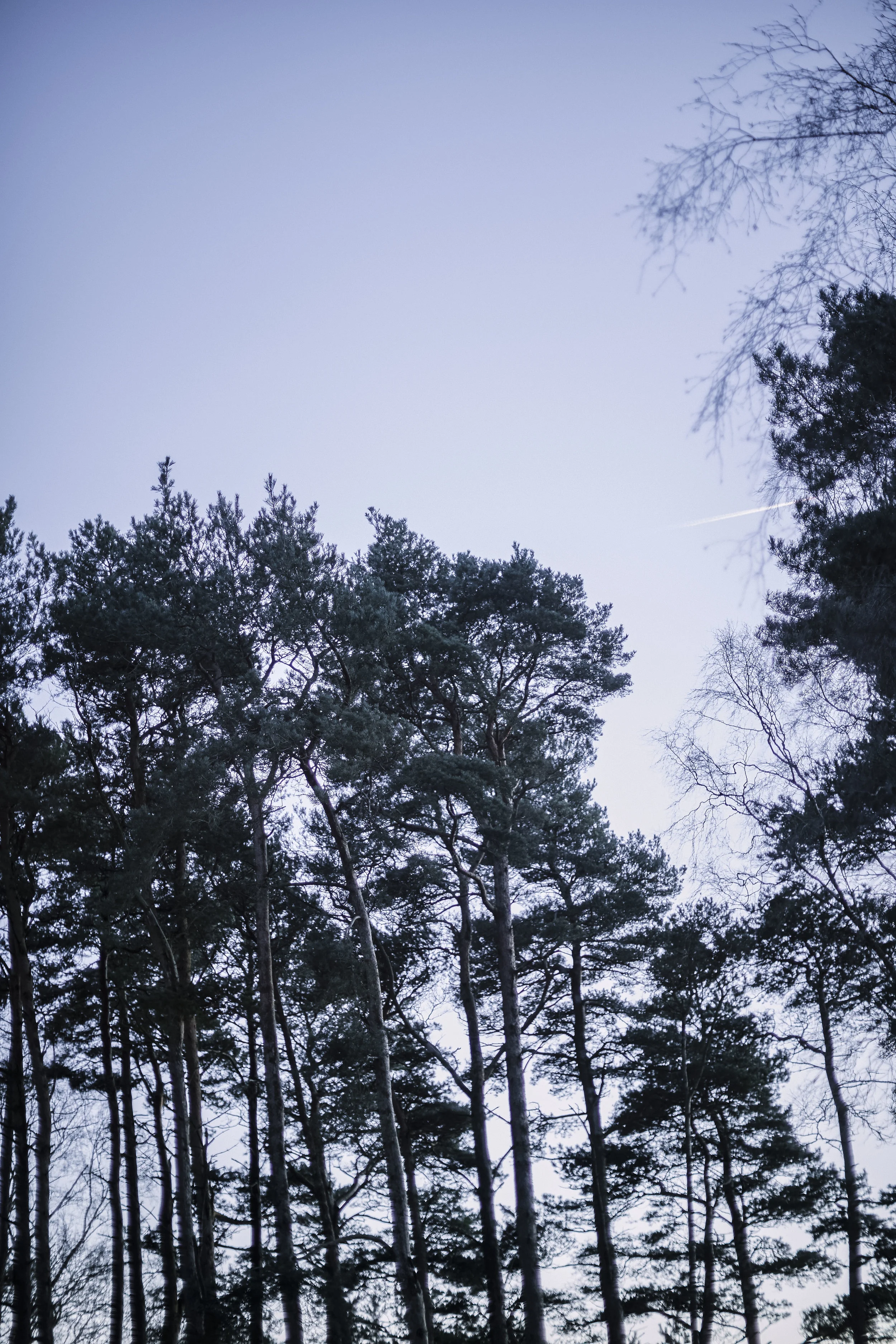 180204_TEST_1067_1.2.jpg