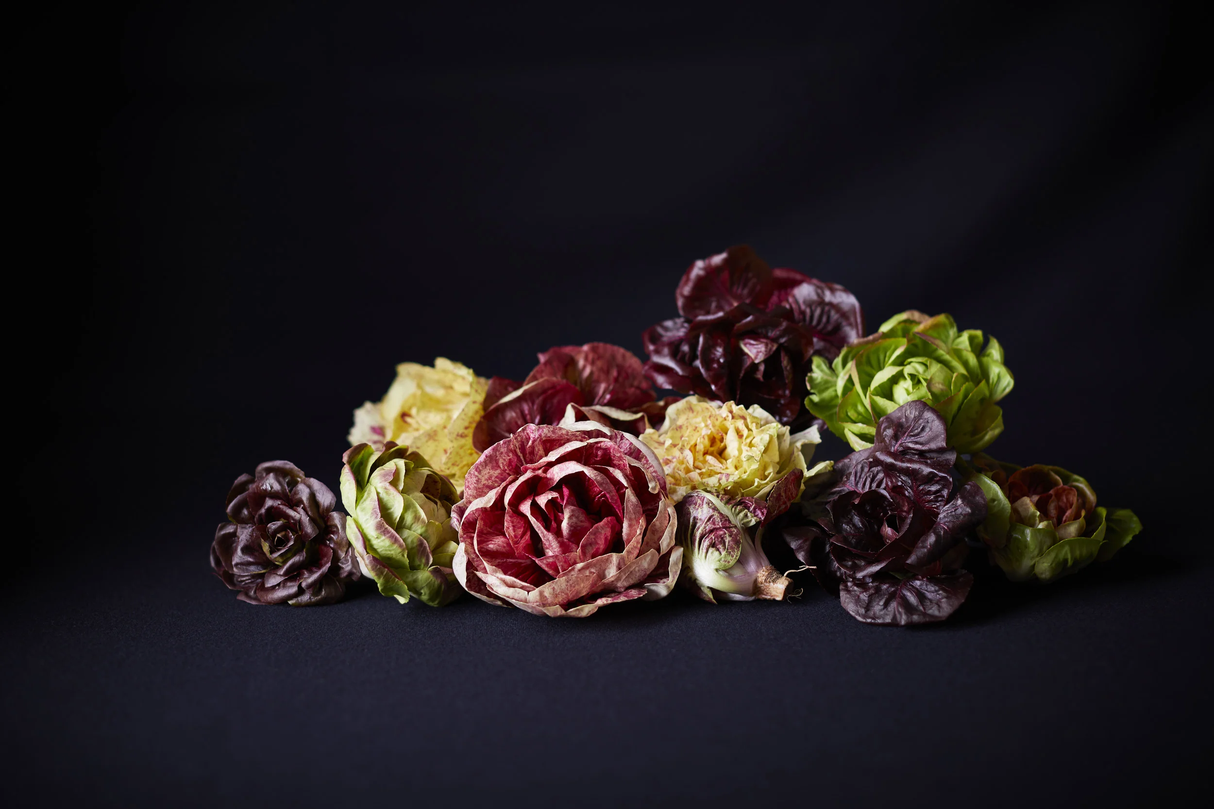 TOM_REGESTER_FOOD_PHOTOGRAPHER_190307_GRUMOLO_VAN_0077_2.jpg