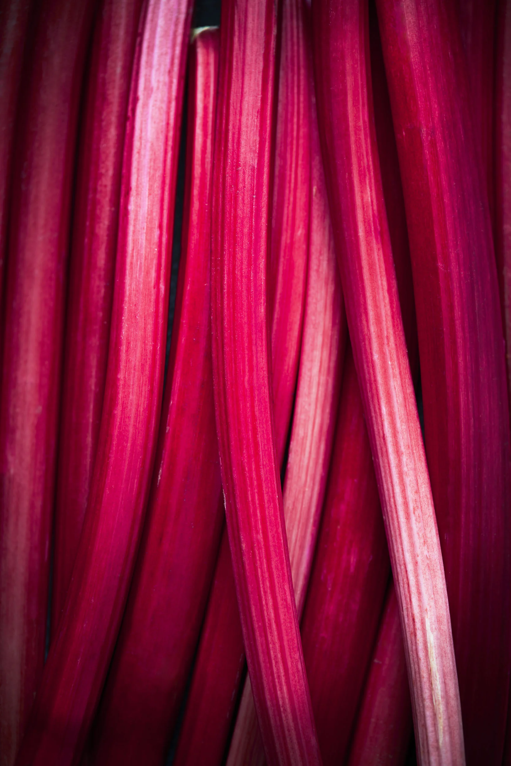 TOM_REGESTER_FOOD_PHOTOGRAPHER_190222_PINK_RHUBARB_0027_2.8.2.jpg