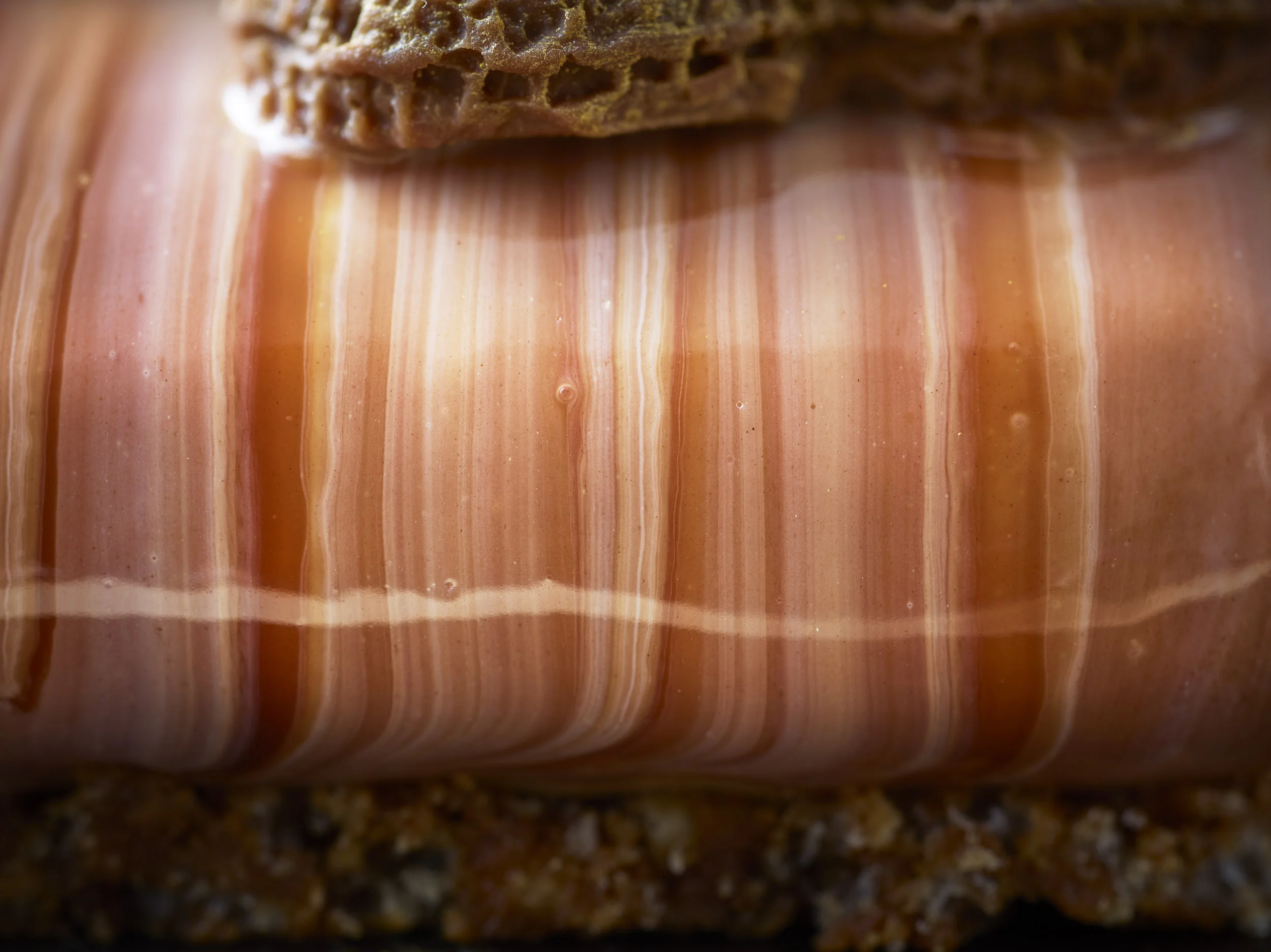 TOM_REGESTER_FOOD_PHOTOGRAPHER_181017_LIQUID_CARAMEL_PEANUT_BUTTER_MOUSSE_CAKE_0439_4.jpg