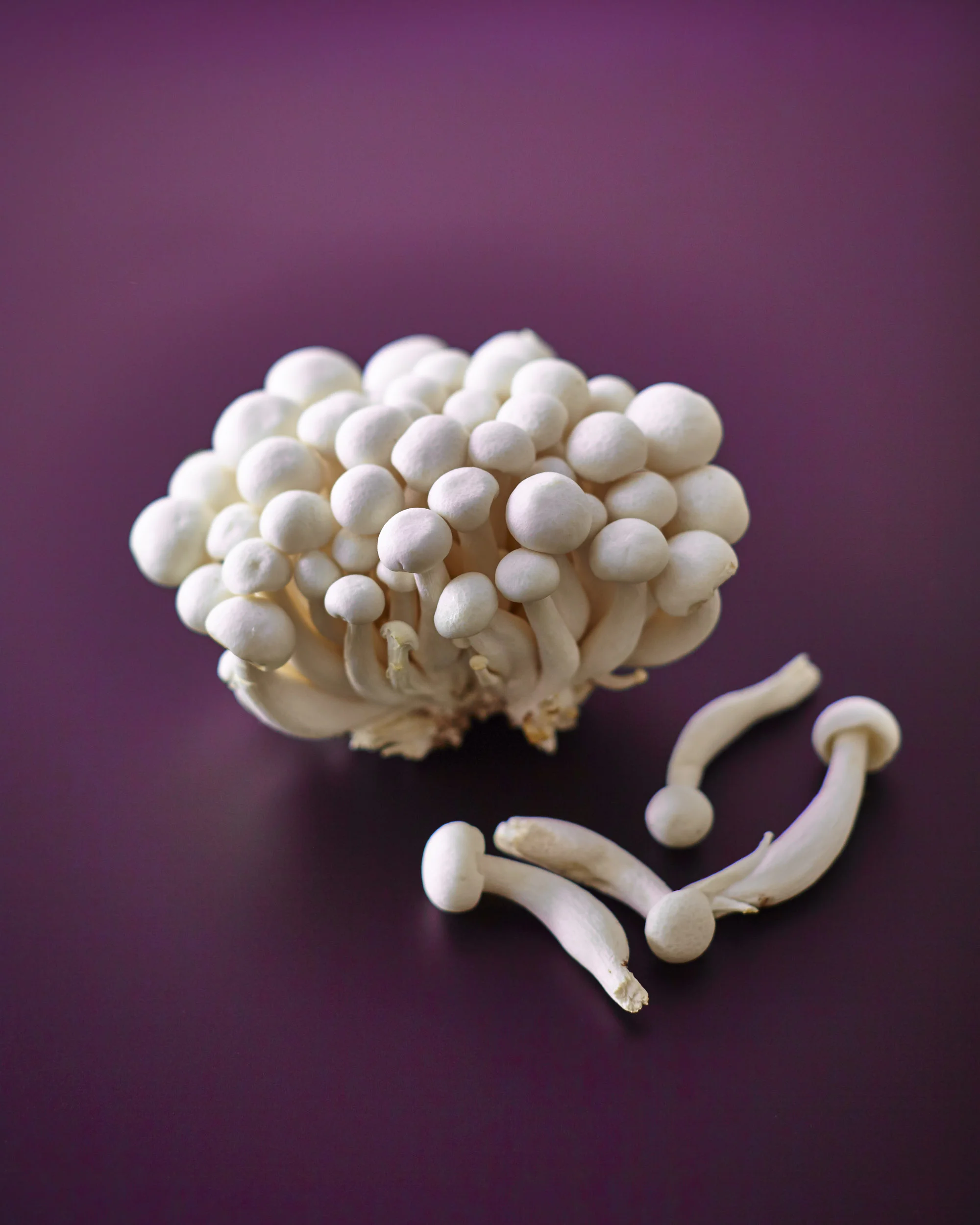 TOM_REGESTER_FOOD_PHOTOGRAPHER_150610_MUSHROOMS_0367.jpg