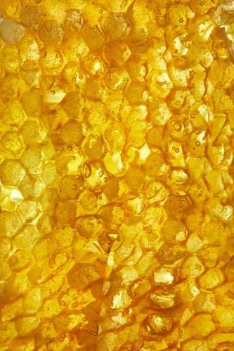 TOM_REGESTER_FOOD_PHOTOGRAPHER_190222_HONEY_0485_8(1)-72-80.jpg
