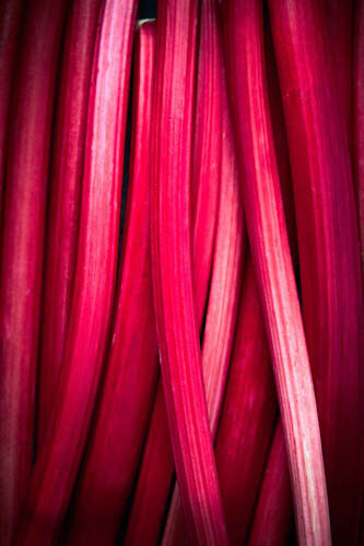 TOM_REGESTER_FOOD_PHOTOGRAPHER_190222_PINK_RHUBARB_0027_2.8.2(1)-67-75.jpg