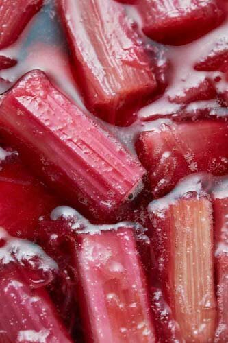TOM_REGESTER_FOOD_PHOTOGRAPHER_190222_RHUBARB_0384_11(1)-70-78.jpg