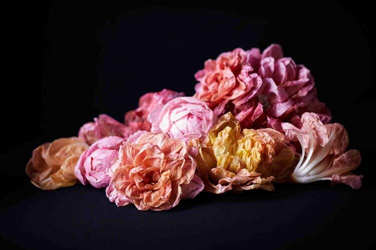 TOM_REGESTER_FOOD_PHOTOGRAPHER_190307_PINK_RADICCIO_VAN_0119_2(1)-77-85.jpg