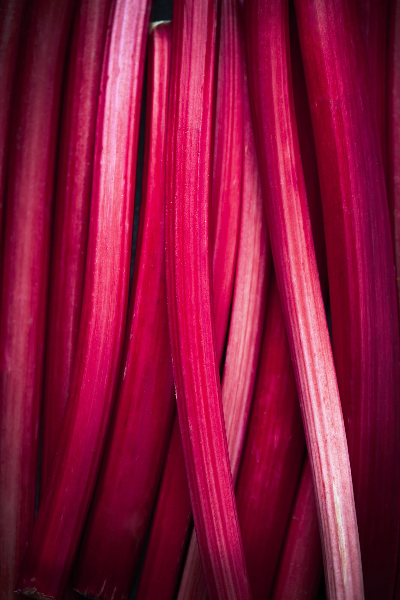 41_TOM_REGESTER_FOOD_PHOTOGRAPHER_190222_PINK_RHUBARB_0027_2.8-.JPG