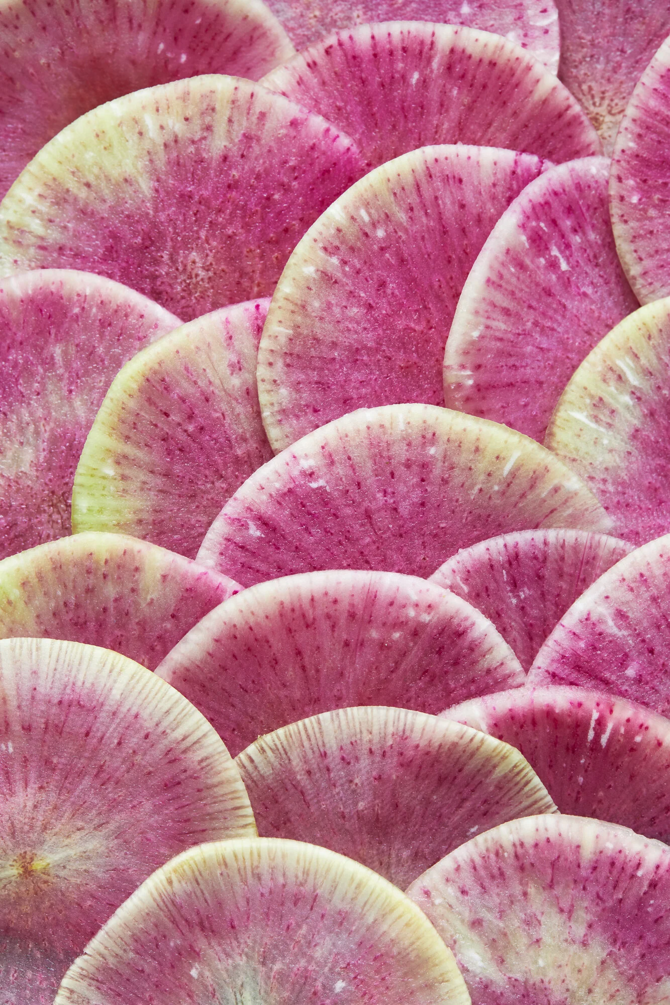 40_TOM_REGESTER_FOOD_PHOTOGRAPHER_190222_WATERMELON_RADISH_0564_11-.JPG