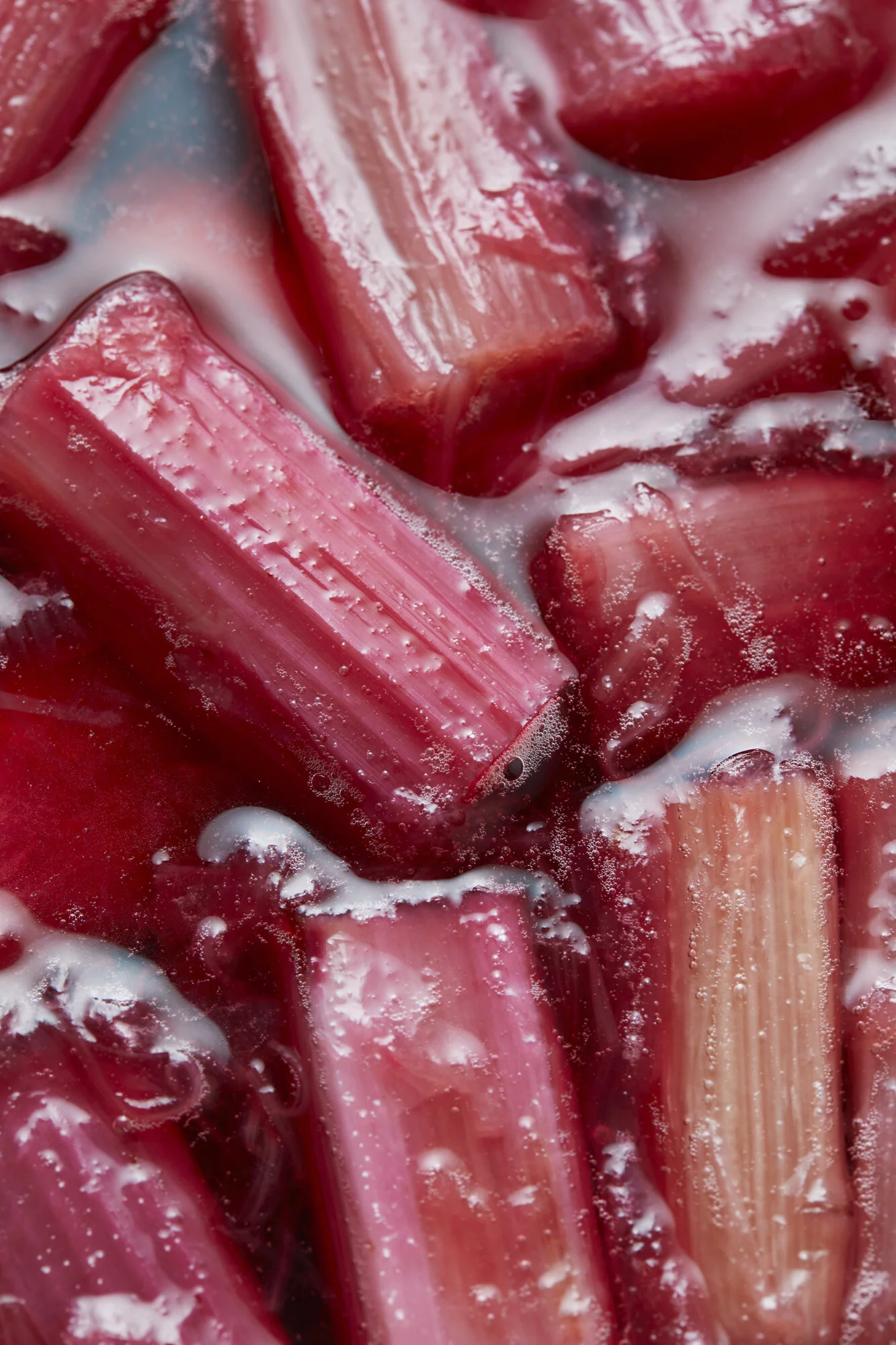 42_TOM_REGESTER_FOOD_PHOTOGRAPHER_190222_RHUBARB_0384_11-.JPG