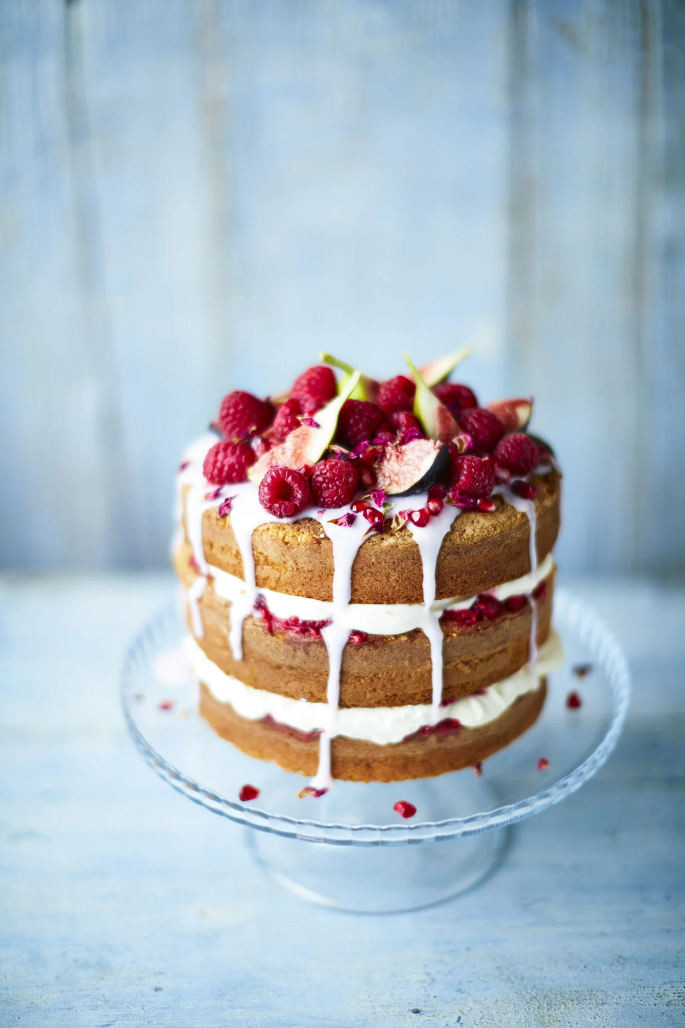 47_TOM_REGESTER_FOOD_PHOTOGRAPHER_161216_RASPBERRY_SPONGE_CAKE_0414-.JPG