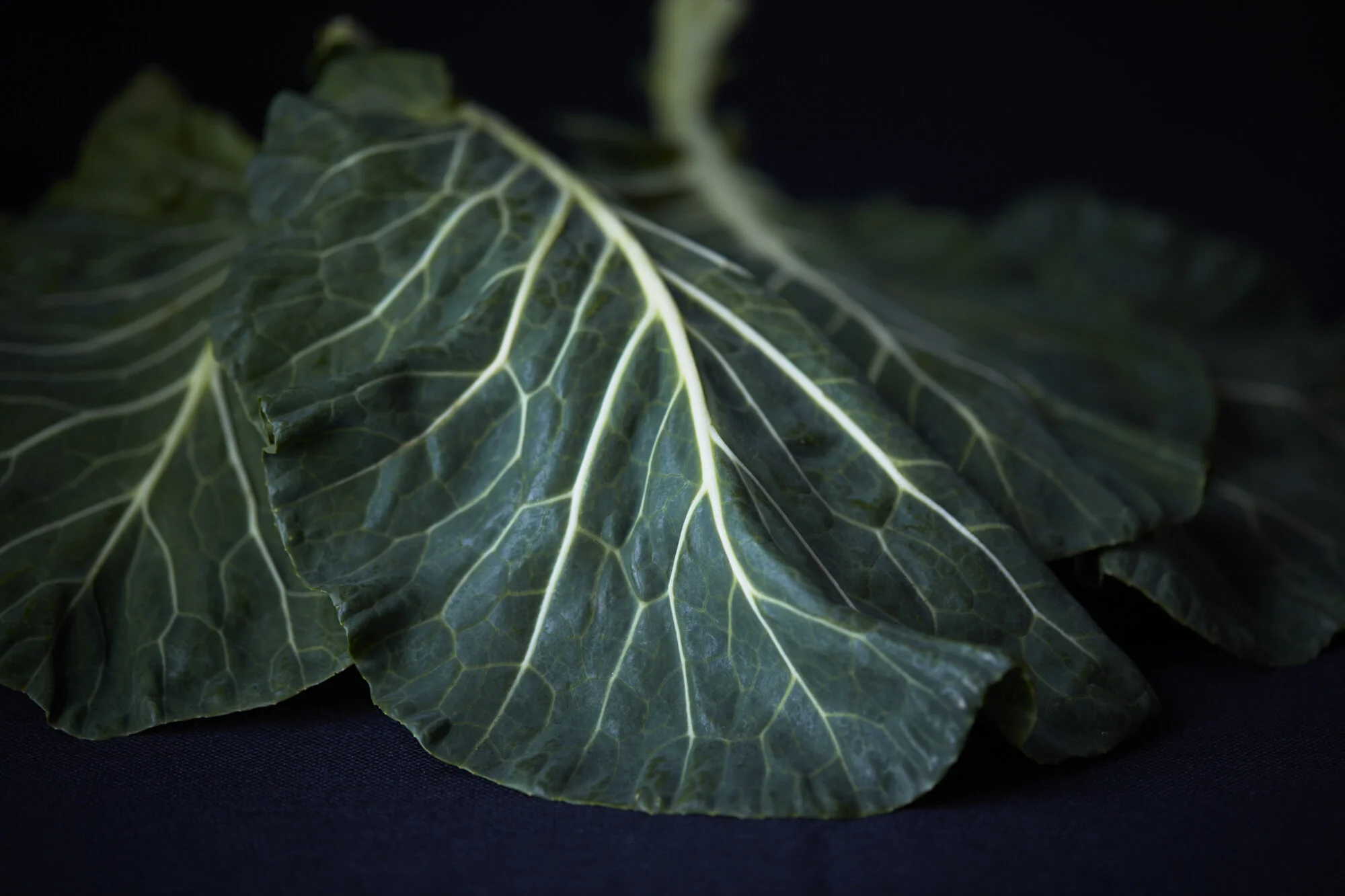 107_TOM_REGESTER_FOOD_PHOTOGRAPHER_151016_COLLARD_GREENS_0053-.JPG