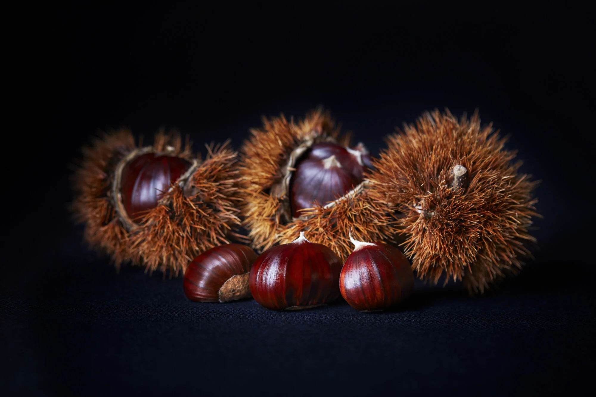 126_TOM_REGESTER_FOOD_PHOTOGRAPHER_151116_HORSE_CHESTNUTS_CONKERS_001-Edit-.JPG