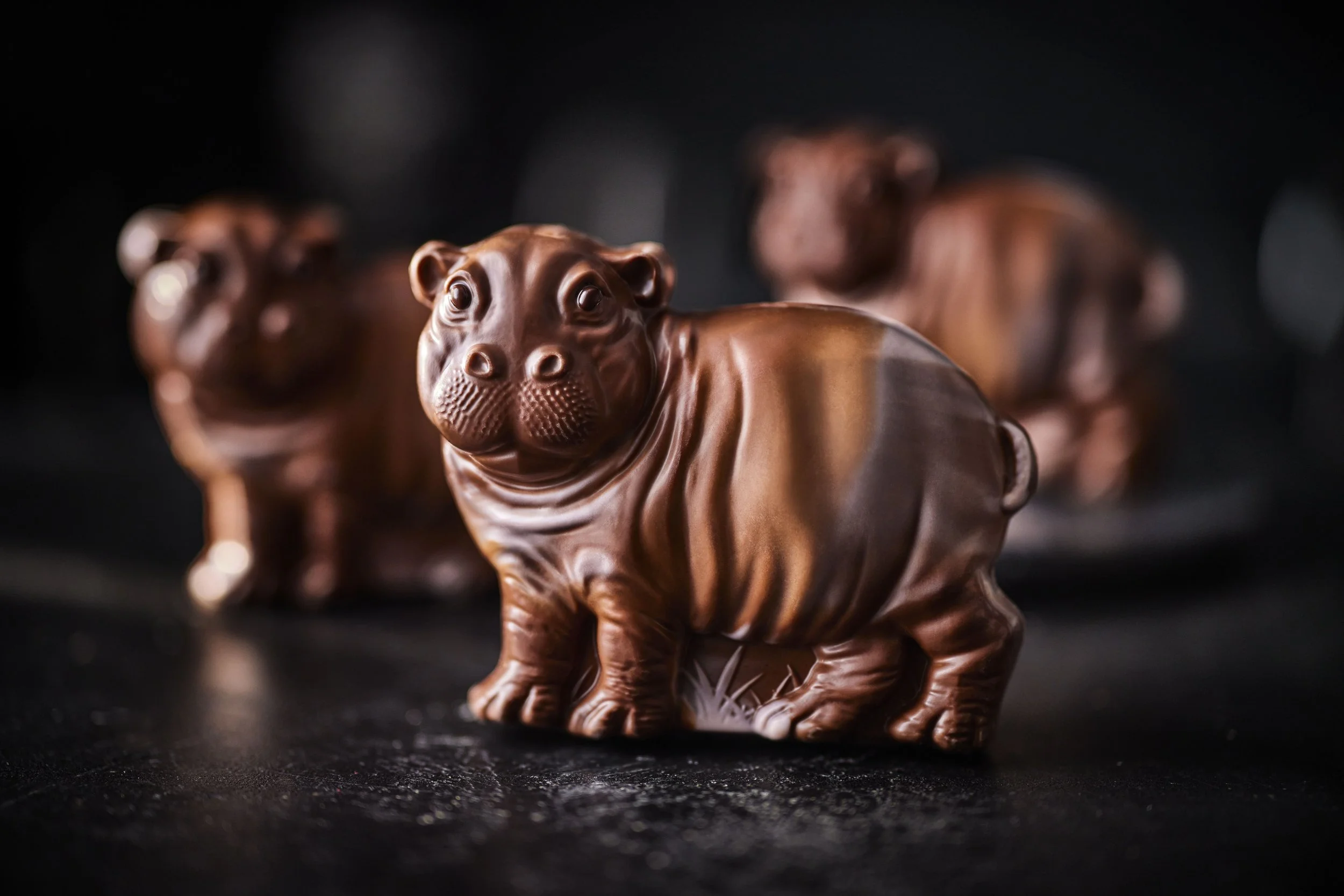 29481712_POS_Hiccup the Hippo TR.jpg