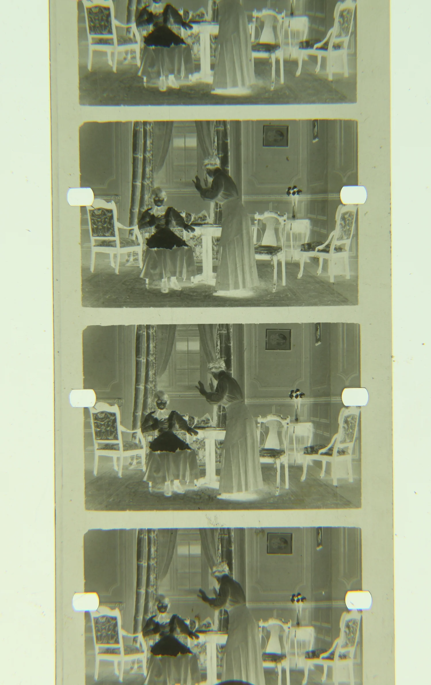 IMG_6242.JPG?format=1500w